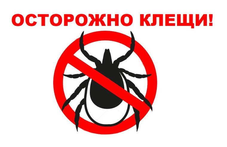 Защитите себя от инфекций, передающихся иксодовыми клещами.